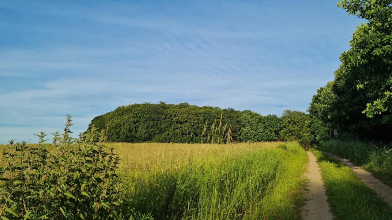 4 Sterne-Haus Am See Waren  Bagian luar foto