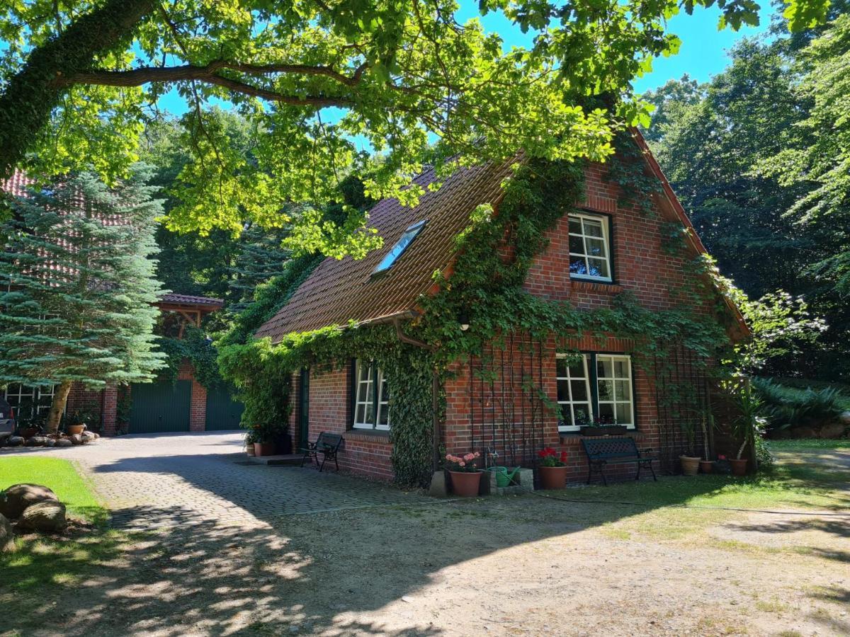4 Sterne-Haus Am See Waren  Bagian luar foto